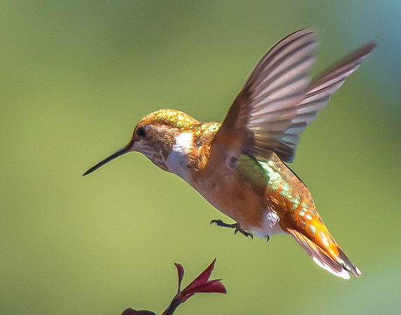 Approach for a perfect landing