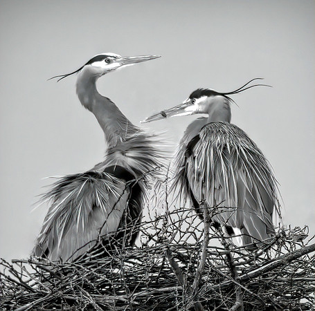 Heron's