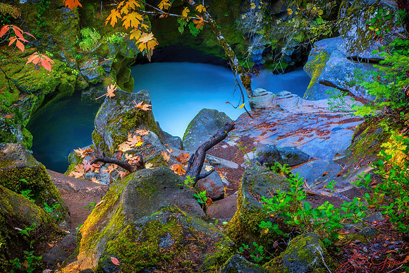 The Pond