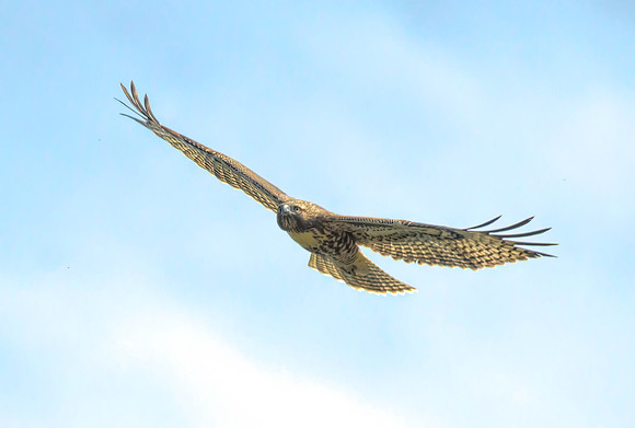 Gliding Through