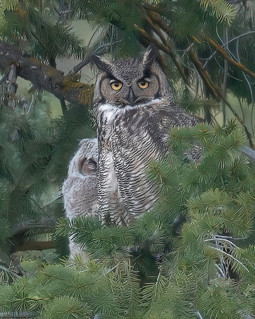 Mom & Baby