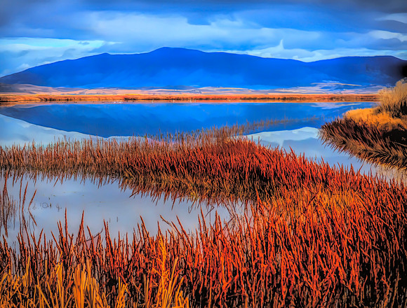 Tule Lake Refuge
