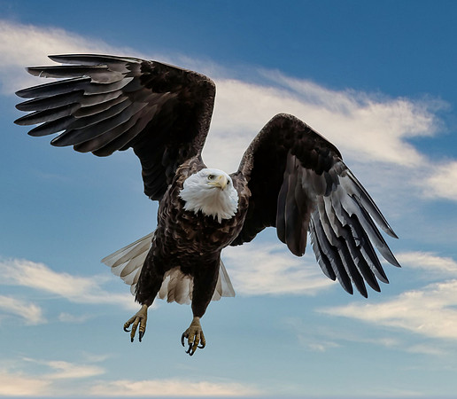 In flight
