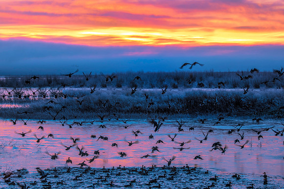 Sunrise at Tule Lake