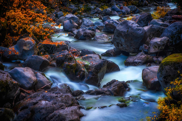Shady Cove